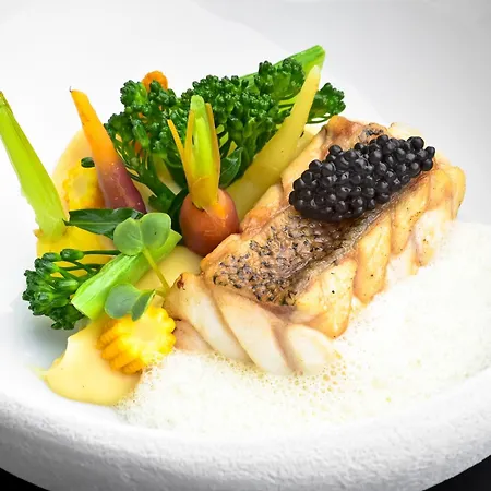 Palacio By The Editory