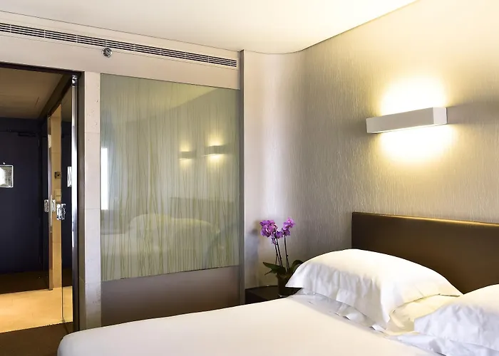 Palacio By The Editory