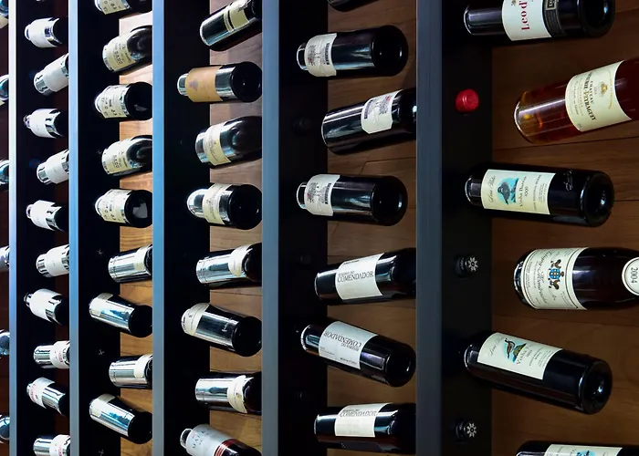 Palacio By The Editory מלון